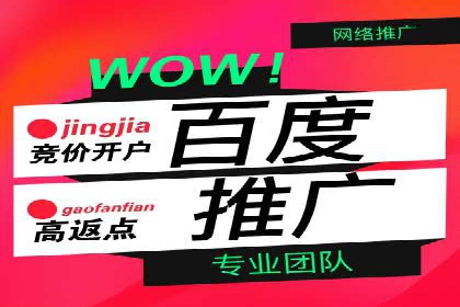 百度搜索广告运营推广：某行业领先企业的秘密武器