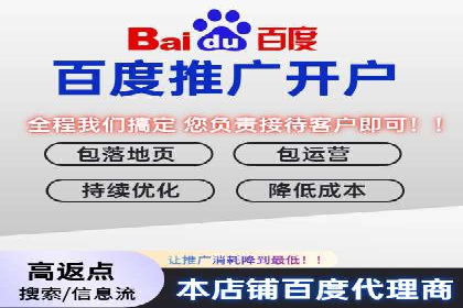 百度竞价代运营实战：某电商平台的销量翻倍秘诀